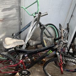 Two Mountain Bikes And Two Kids Bicycles 