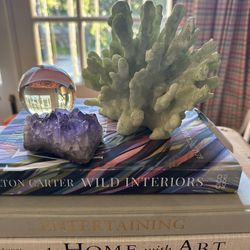 Pottery Barn -1xGreen And 1x White Resin Faux Coral Decor