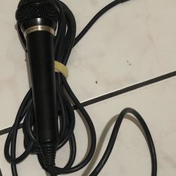 Pioneer Karaoke Microphone