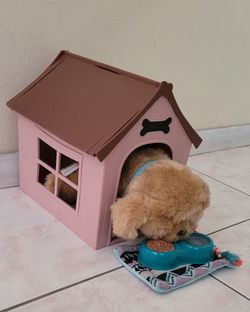 Toy doghouse with puppy