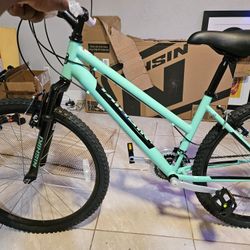 Mountain BIKE Nishiki 