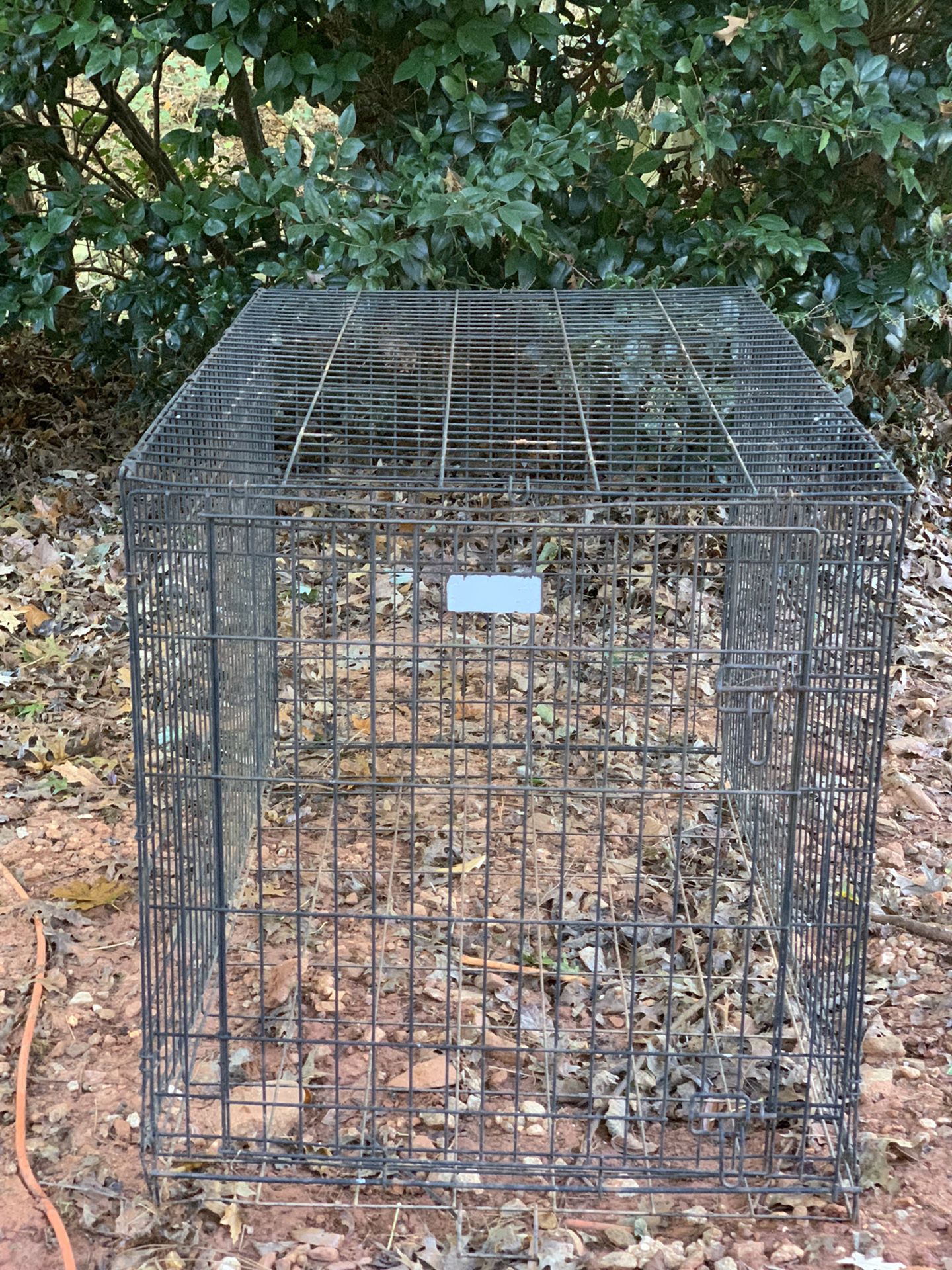 Animal Cage (Large)
