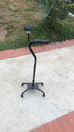 Cane Baston