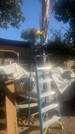 Werner Fiberglass Step Ladder