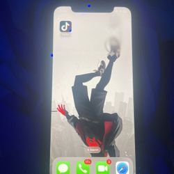 iPhone With TikTok