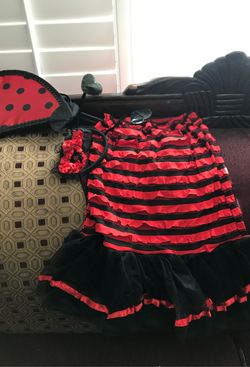 Lady bug costume $10