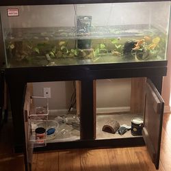 90 gallon aquarium