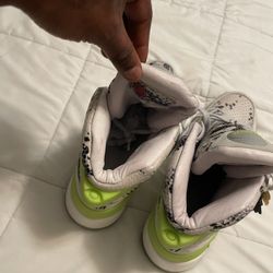 Kasina X Reebok Pump 25th Anniversary Exclusive Brand New