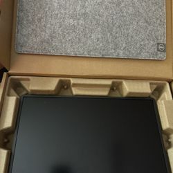 Dell Portable Monitor 