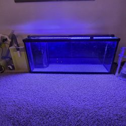 Fifty five gallon custom fish tank. 