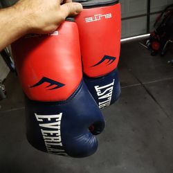 Adult Boxing Gloves