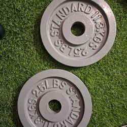 Iron Weights 25lbs Pair