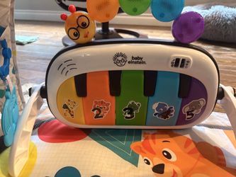 Baby Einstein play mat