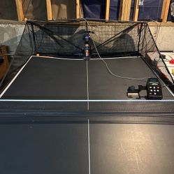 Ping Pong