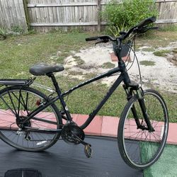 Bicycle- Giant Cypress 