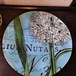 Colorful Glass Plate 