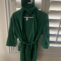 Green boys dinosaur Robe