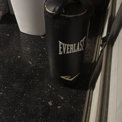 Punching Bag Everlast