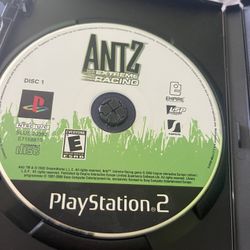 Ants Extreme Racing 