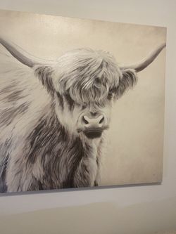 Kirkland’s Large Highland Cow Canvas 40x40