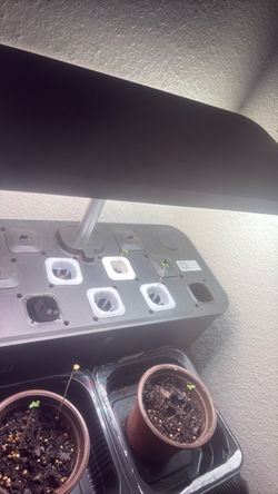 Indoor Hydroponic Garden Grow System