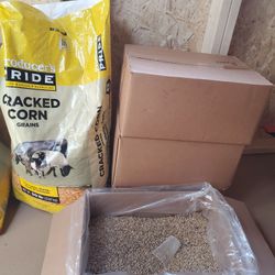 Cracked Corn & Sunflower Seeds Shelled Raw 