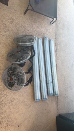 Fans lights