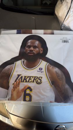 lebron james cut out stand