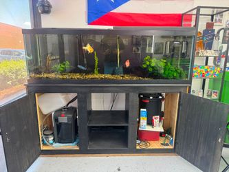 Fish Tank
