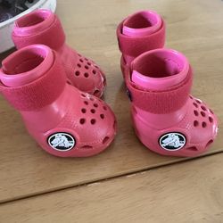 Dog Crocs