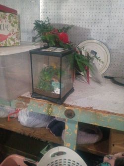 Transtula aquarium 6×12 inches