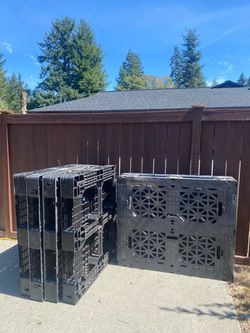 Plastic Pallets Free  ( must take all)