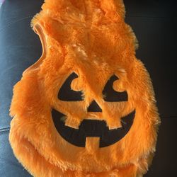Halloween Costume For Your Pup