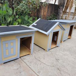 Dog House