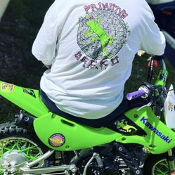 2009 Kawasaki Klx 110