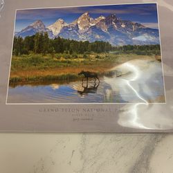 Medium size Yellowstone Print in wrapping 5$