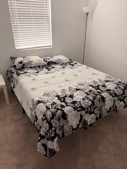 Queen foldable bed and 10” Zinus tea tree memory foam mattress