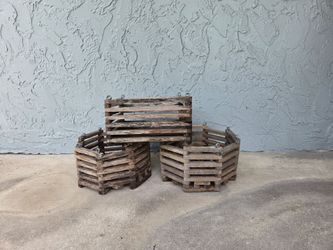 Orchid baskets