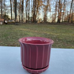 NEW Mulberry Pink Flower Pot