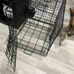Dream Crate Dog Cage 