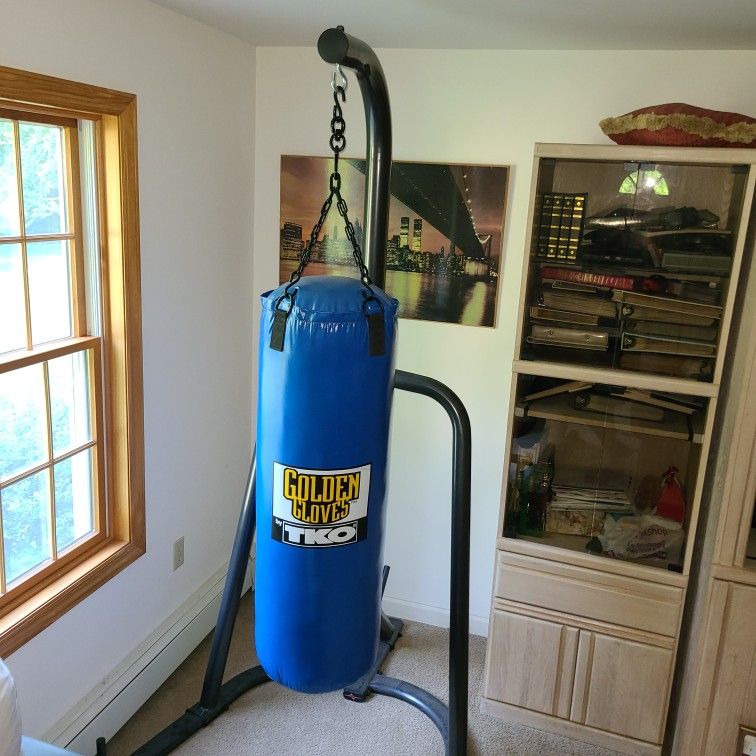 Boxing & Martial Arts Punching Bag with Stand and Gloves