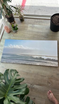 22x47.5” canvas print