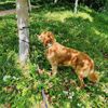 zoey