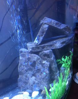 Pieces Of Beautiful Granite For Aquarium Or Wherever