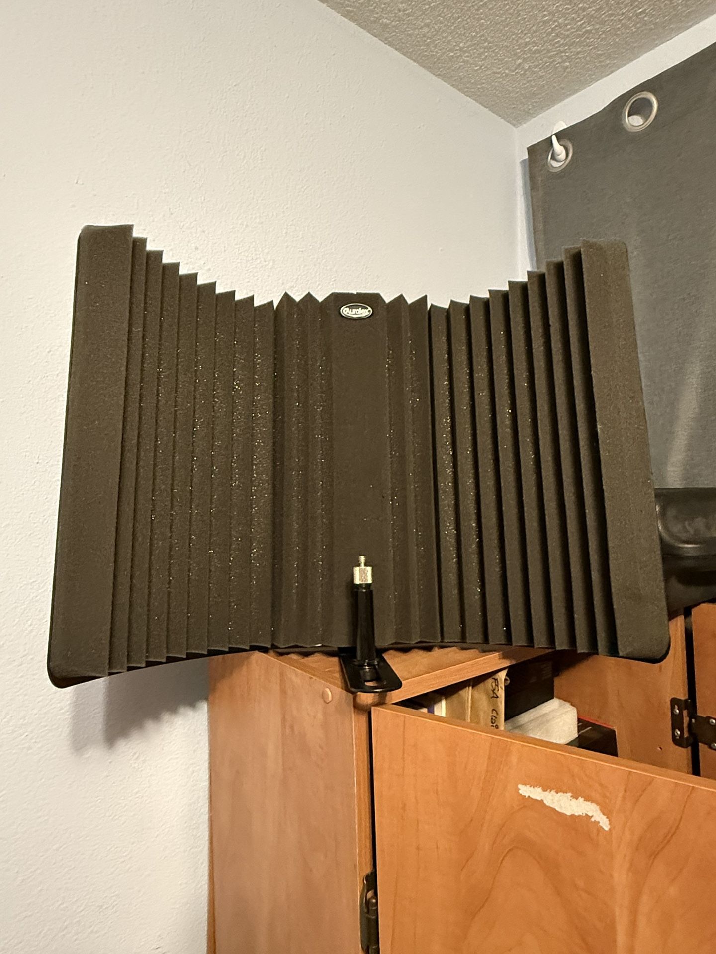 Auralex MudGuard Mic Isolation Shield