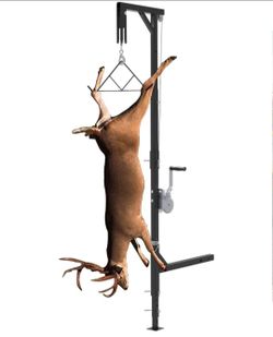 Deer hoist for truck hitch