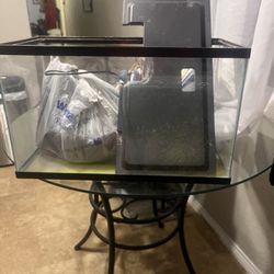 Fish Tank. 