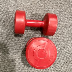Hand Weights 5 Pounds