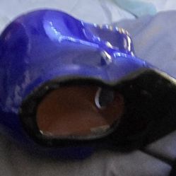 Golden State warrior's skeelten head 