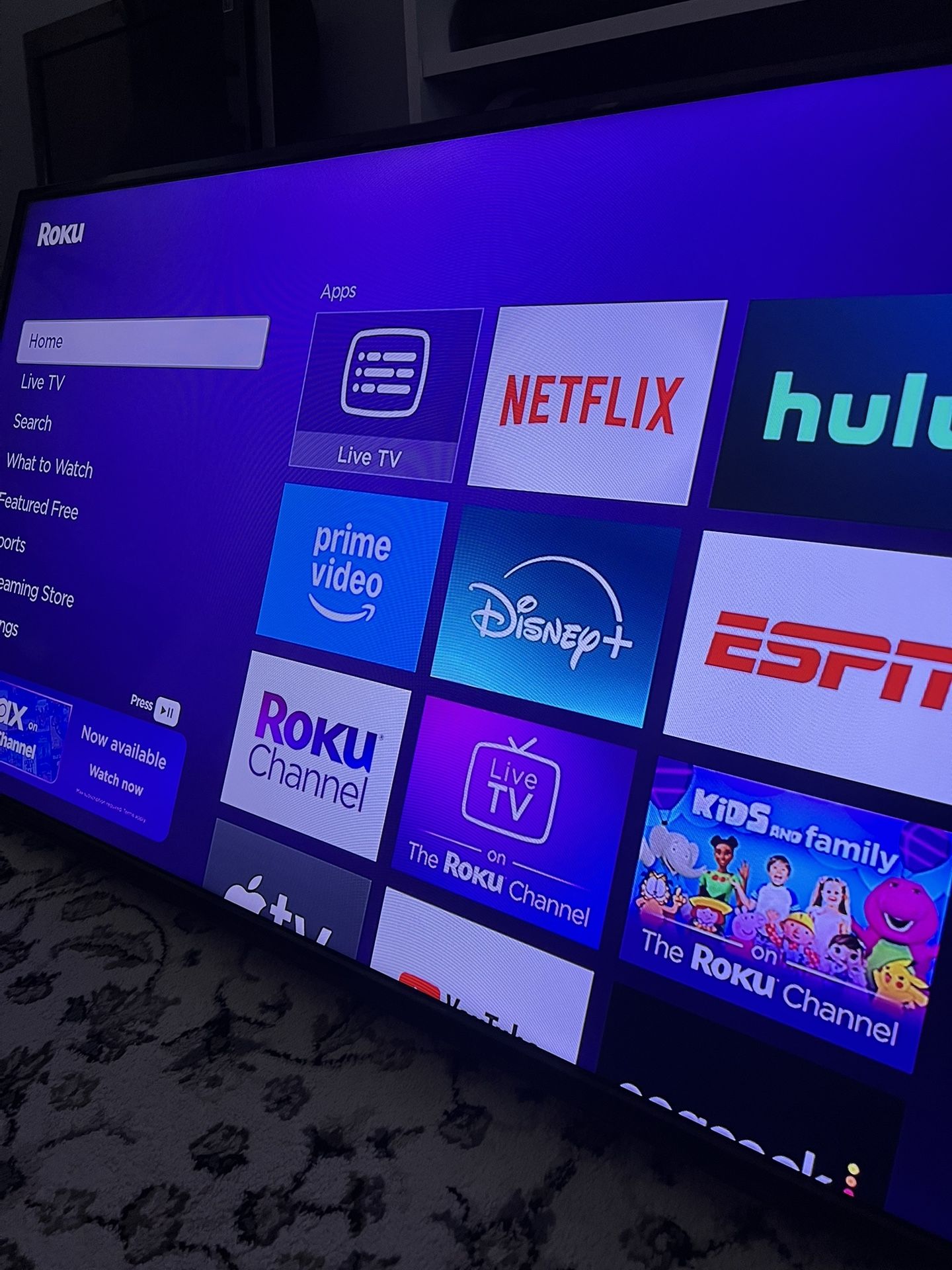 55” Insignia TV  W/ Roku Stick